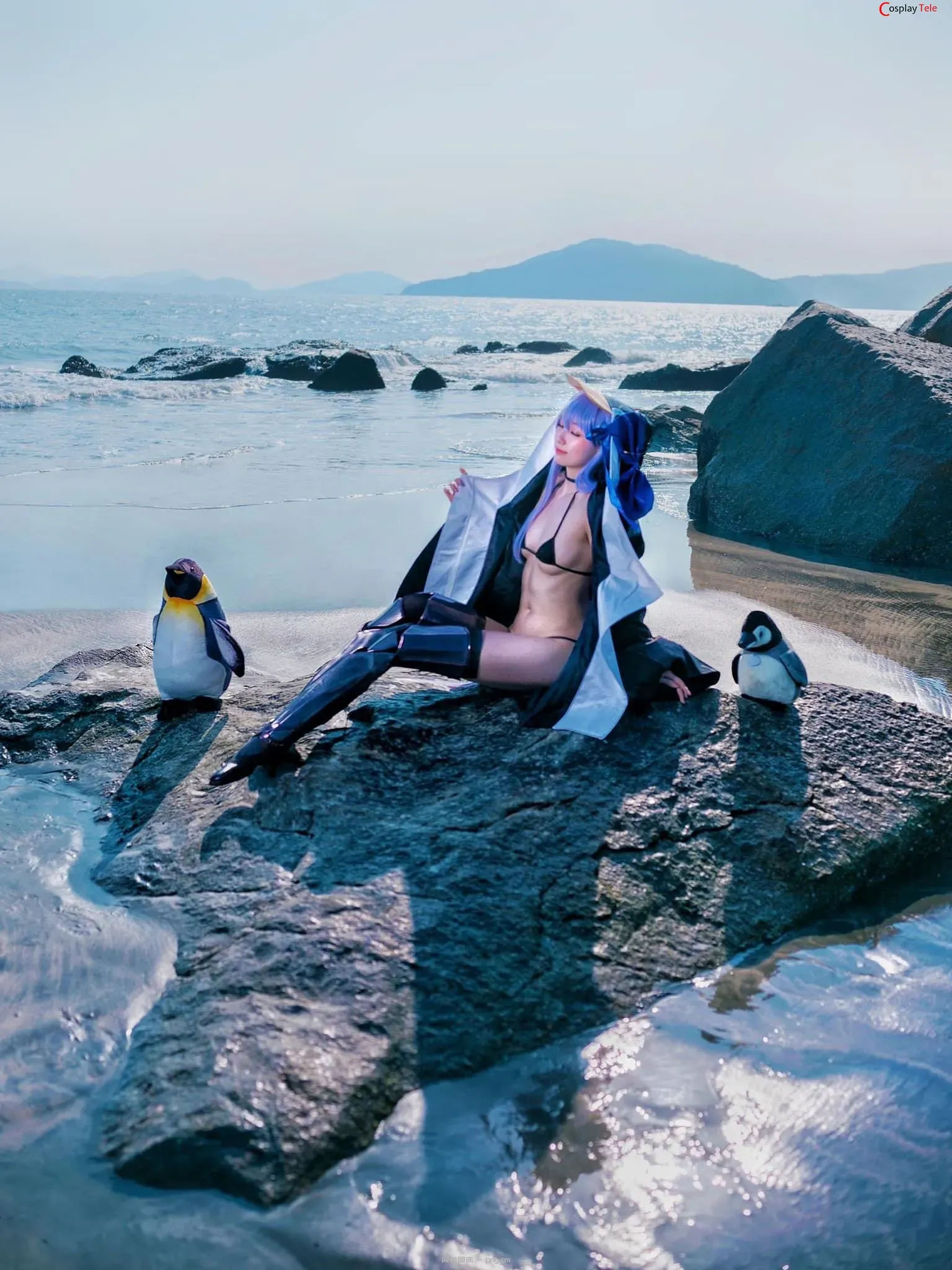 Silver cosplay Meltryllis – Fate/Grand Order “20 photos”-20