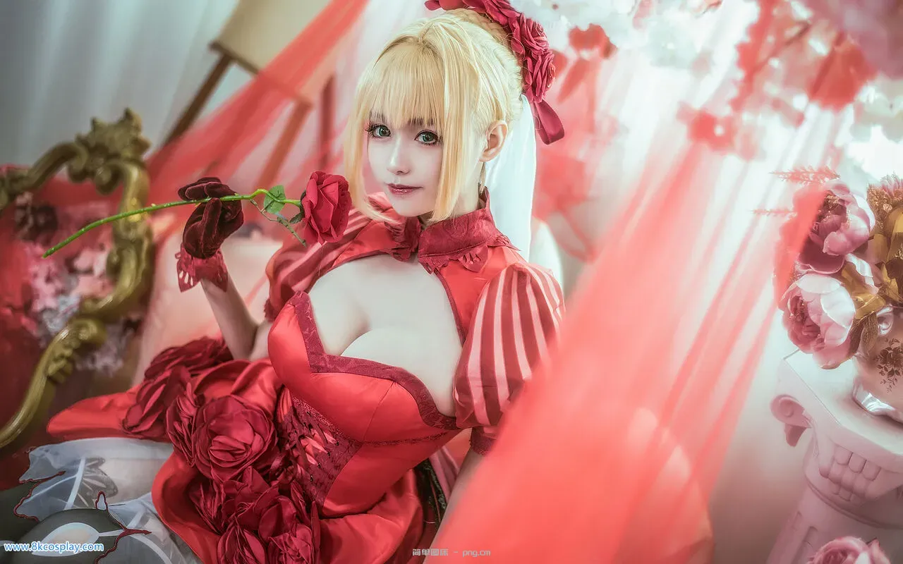 [大大卷卷小卷] 尼禄·克劳狄乌斯 FATE Nero Claudius