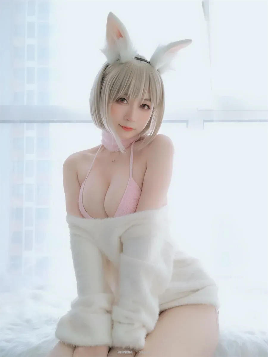 白银81小白兔105p2v-2