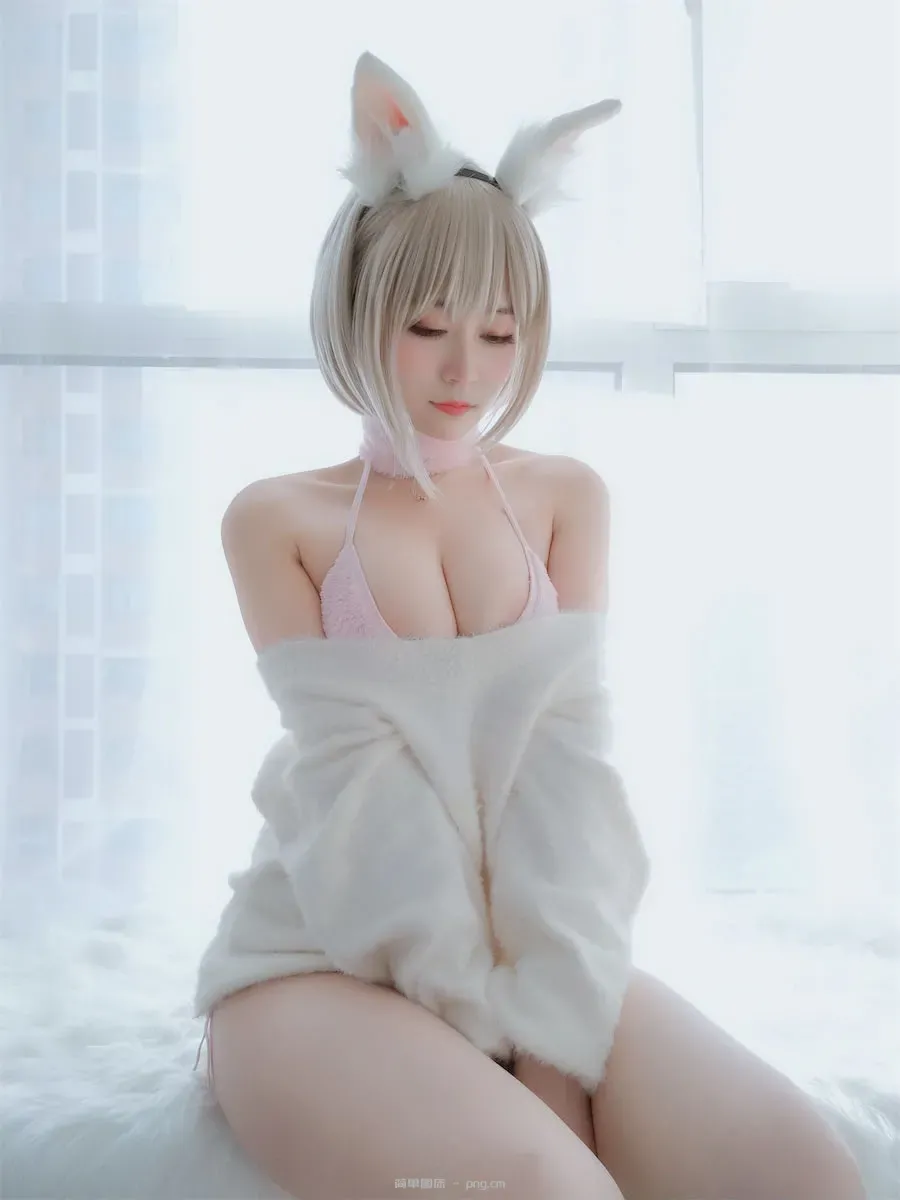 白银81小白兔105p2v-39