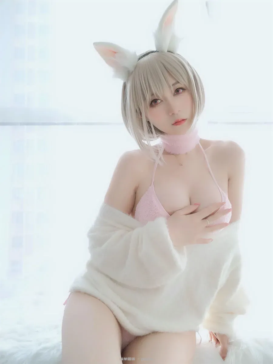 白银81小白兔105p2v-42