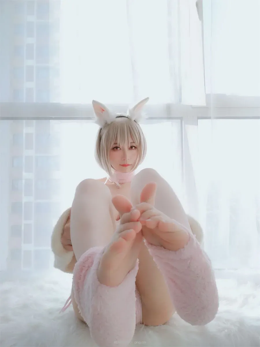 白银81小白兔105p2v-55