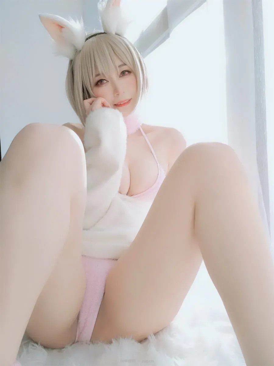 白银81小白兔105p2v-60