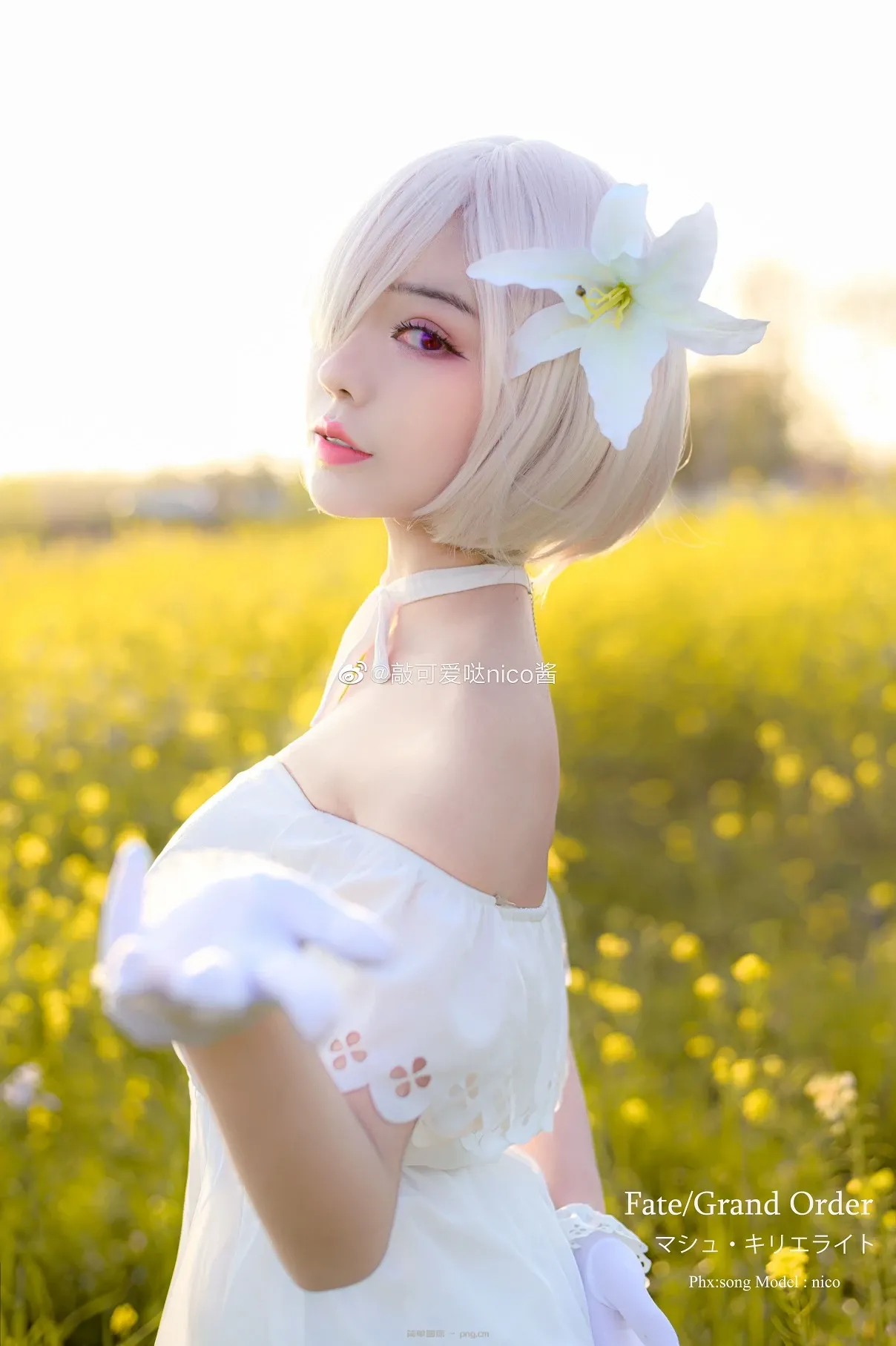 FGO 玛修·基列莱特 @敲可爱哒nico酱 (9 photos)