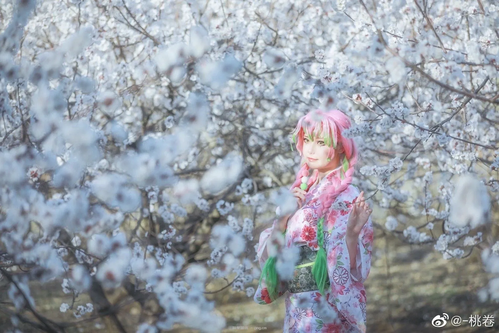 鬼灭之刃 甘露寺蜜璃 (恋柱) 和服 浴衣 @-桃卷 (9 photos)