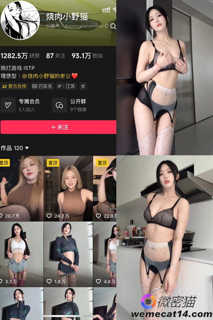 抖音 烧肉小野猫 秘语空间 NO.003期 【10P6V】